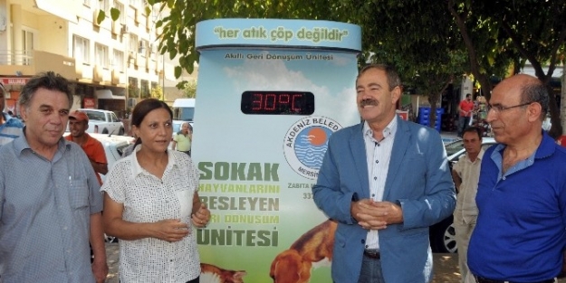 Akdeniz’de Sokak Hayvanları İçin Beslenme İstasyonu