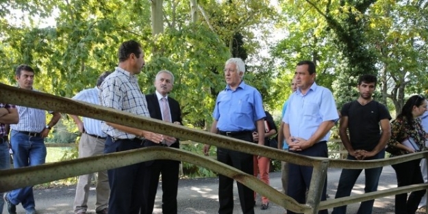 Yeni Mahalleler De Nilüfer İle Gülümseyecek