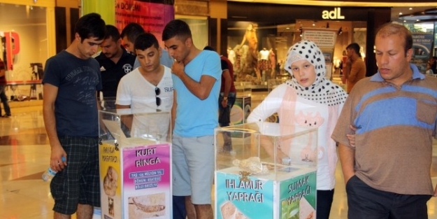 Sanko Park’ta Fosil Sergisi