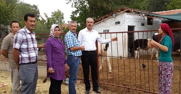 Korkuteli’nde Kültür Mantar Üretimi Yaygınlaşıyor