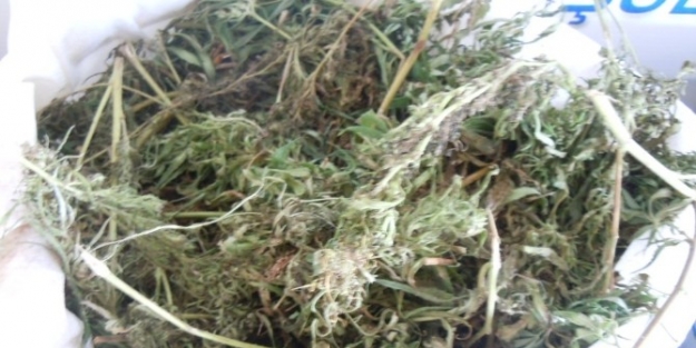 Samsun’da 33 Kilo 800 Gram Esrar Ele Geçti