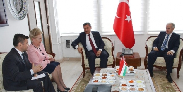 Macaristan Meclis Başkan Yardımcısı Kütahya’da