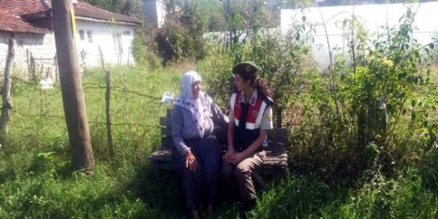 Bartın Jandarma, Hayvan Hırsızlıklarına Karşı Uyardı