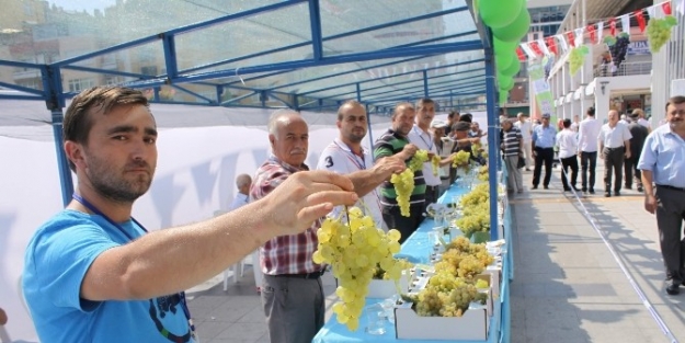 İzmit Üzüm Festivali Düzenlendi