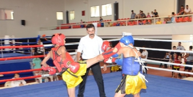 Komşu İller Muay Thai Turnuvası