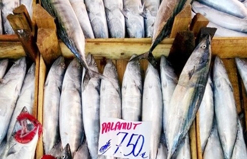 Marmara’da Balık Az, Fiyatlar Yüksek