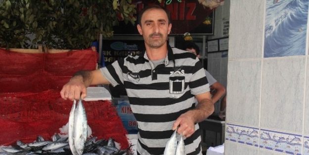 Karadeniz’de Balık Bereketi