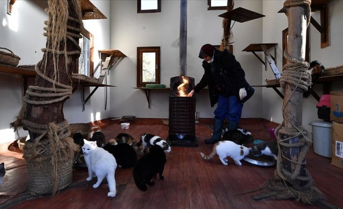 Bursa'daki kedi villalarında sobalar yanmaya başladı