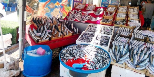 Balık fiyatlarında artış!