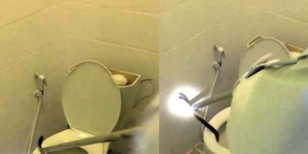 Klozetten Yılan Çikti