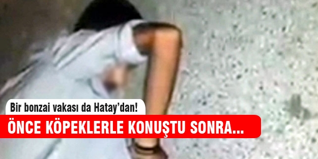 Bonzai içen genç köpeklerle konuştu