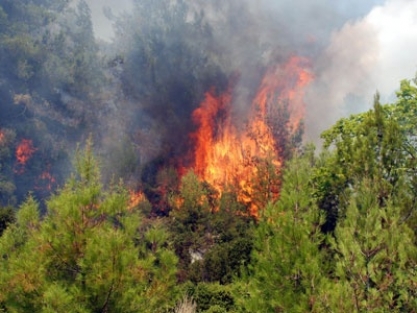 Orman yangını kontrol altına alınamıyor!