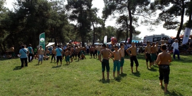 Osmangazi Belediyesi’nden Siyah İncir Festivali