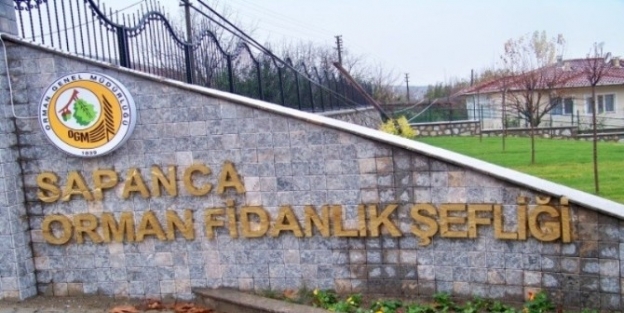 Sakarya Ormanları İçin 1 Milyon 53 Bin 263 Fidan Üretildi