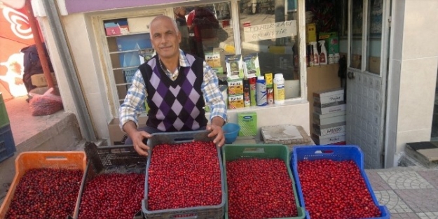 Kuraklık, Kızılcık Fiyatlarını Yükseltti