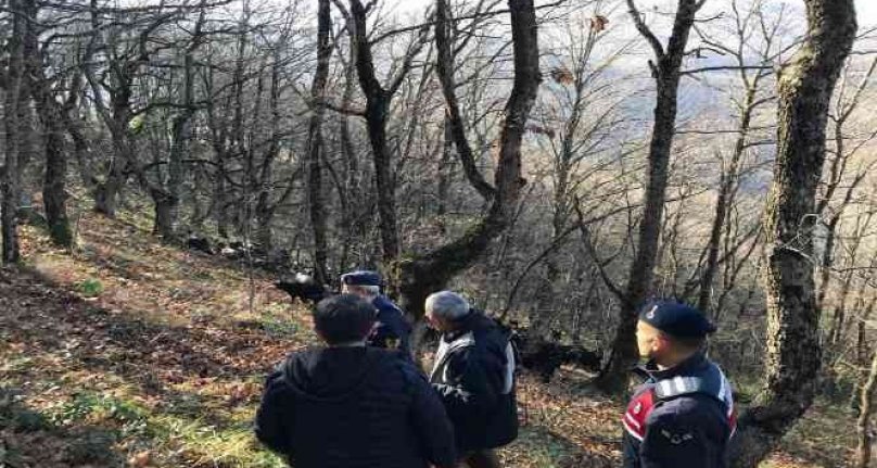 Bursa'da jandarma kayıp koyunlar için seferber oldu