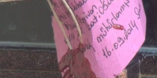 Cizre'de Kürtçe okul mühürlendi