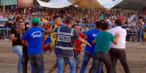 Boğa Güreşlerinde Kan Aktı