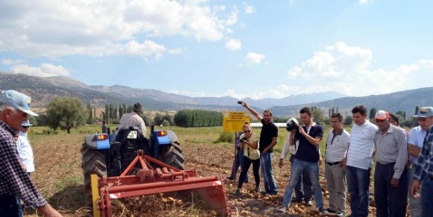 Muğla Patates’te Ödemiş’e Rakip