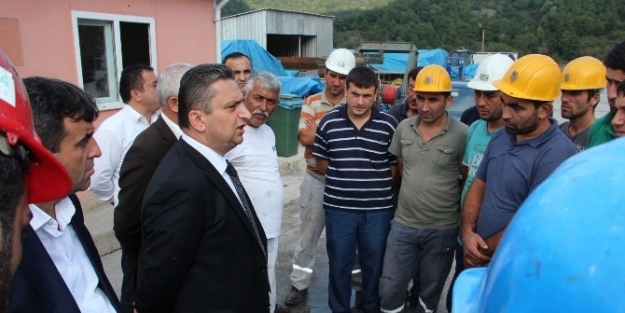 Gmis’ten Hattat A.ş. Amasra İşletmesine Ziyaret