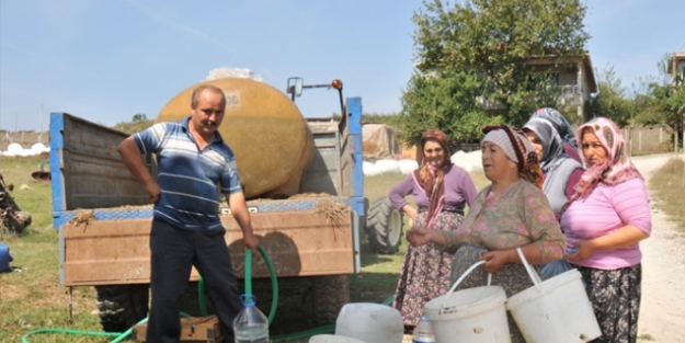 Yalova'da susuzluk isyanı