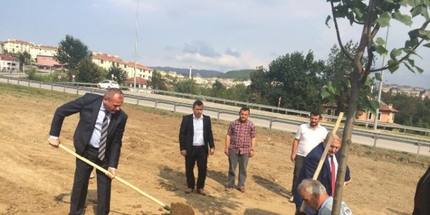 İlk Ağaçlar Dikildi