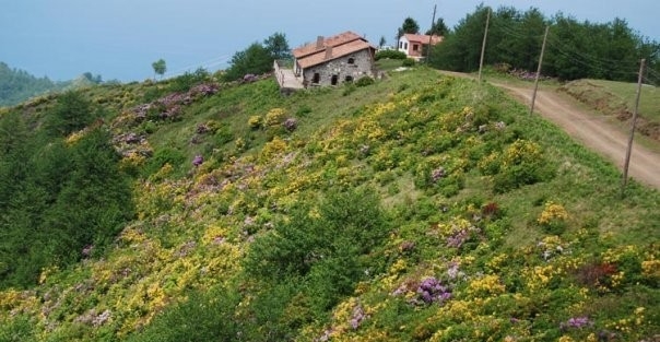 Dokuzgöz Turizme Kazandırılacak