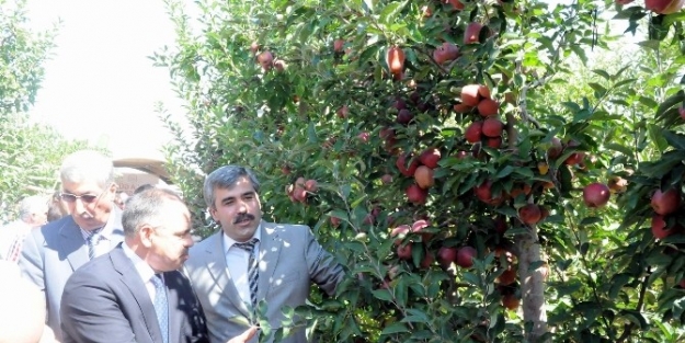 Gıda Tarım Ve Hayvancılık İl Müdürü Özkan Kayacan: