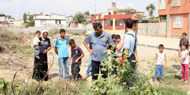 Evlerini Yılanlar Bastı