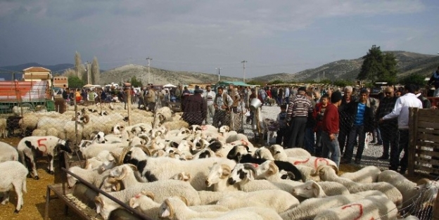 Aydın’da Kurban Önlemleri Belirlendi