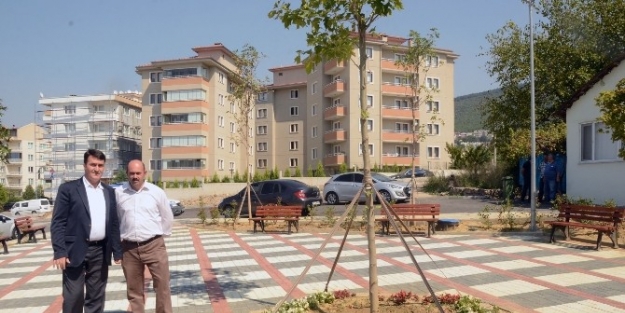 Osmangazi Park Ve Yeşil Alanlarla Donatılıyor
