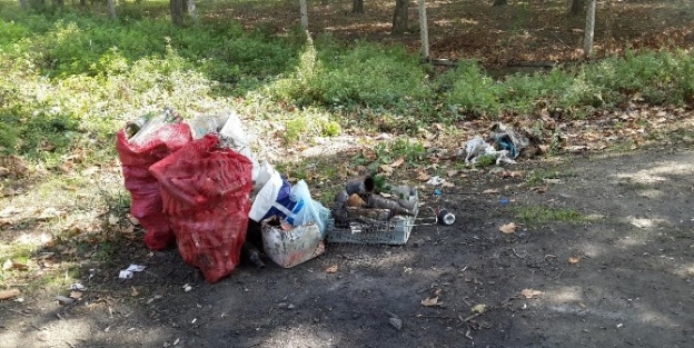 Eğitim İçin Gittiler, Dayanamayıp Çöp Topladılar