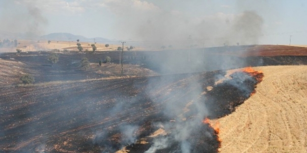 Beyşehir’de Anız Yakan Tarla Sahipleri Cezadan Kurtulamıyor