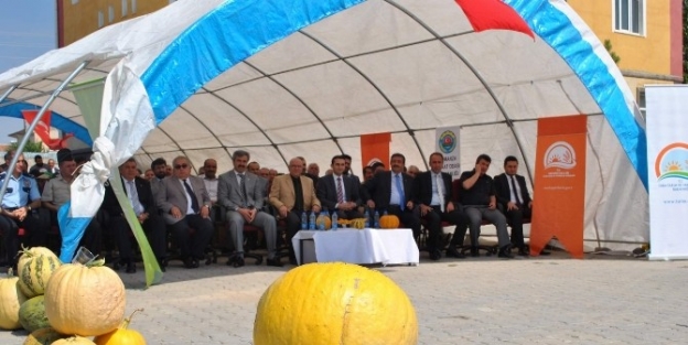 Kayseri Kabak Çekirdeğinde De Söz Sahibi Olacak