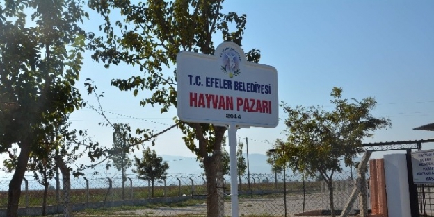 Efeler Belediyesi Kurban Bayramına Hazır