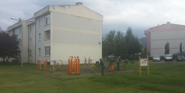 Kartepe’de Yabani Ot Temizliği Çalişmalari Sürüyor