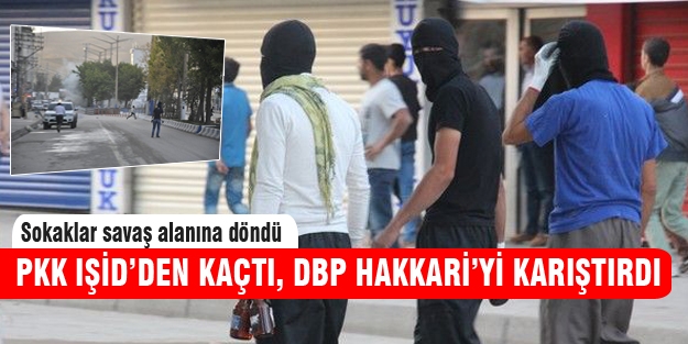 PKK kaçtı, DBP protesto etti