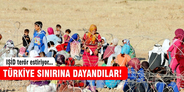 Türkiye sınırına dayandılar!