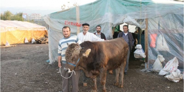 Kurban pazarları kurulmaya başlandı