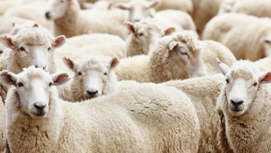 Kurbanlıklar boğaz manzaralı daireleri solladı!