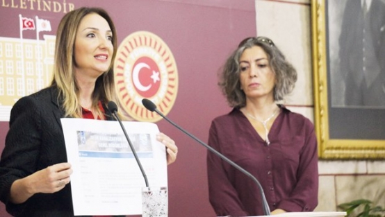 "Gökçek’in verileri de kendisi gibi yalandır"