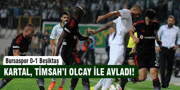 Kartal, Timsah'ı avladı