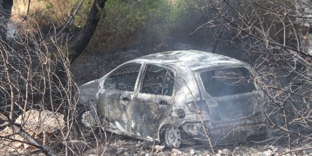 Kaza orman yangınına yol açtı!