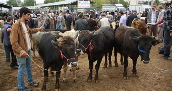 Kurban Bayramı tatili kaç gün olacak?