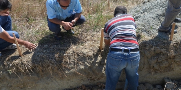 Çanakkale'de yeni şehitlik bulundu!
