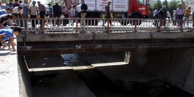 Deli adam, 72yaşındaki kadını köprüden attı!