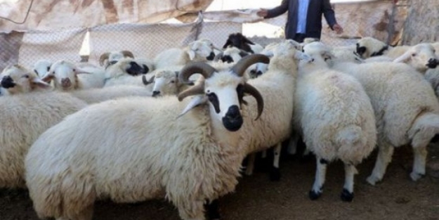 Bayram tatili kamu sektörü ve özel sektörde farklı günlerde