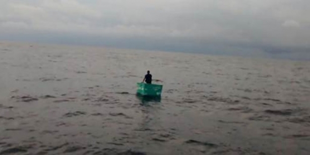 Kaplumbağa ve martı yiyerek hayatta kaldı!