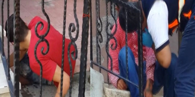 İstanbul'un göbeğinde ibretlik bonzai görüntüsü!