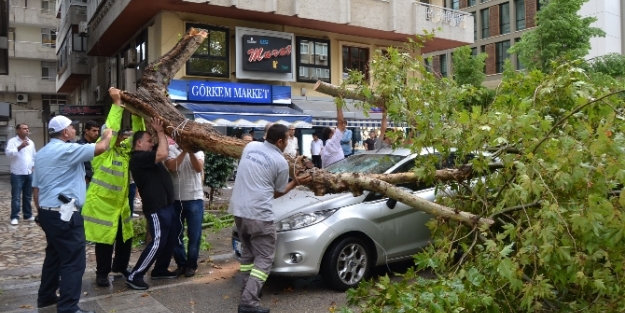 Şiddetli fırtına 5 kişiyi yaraladı